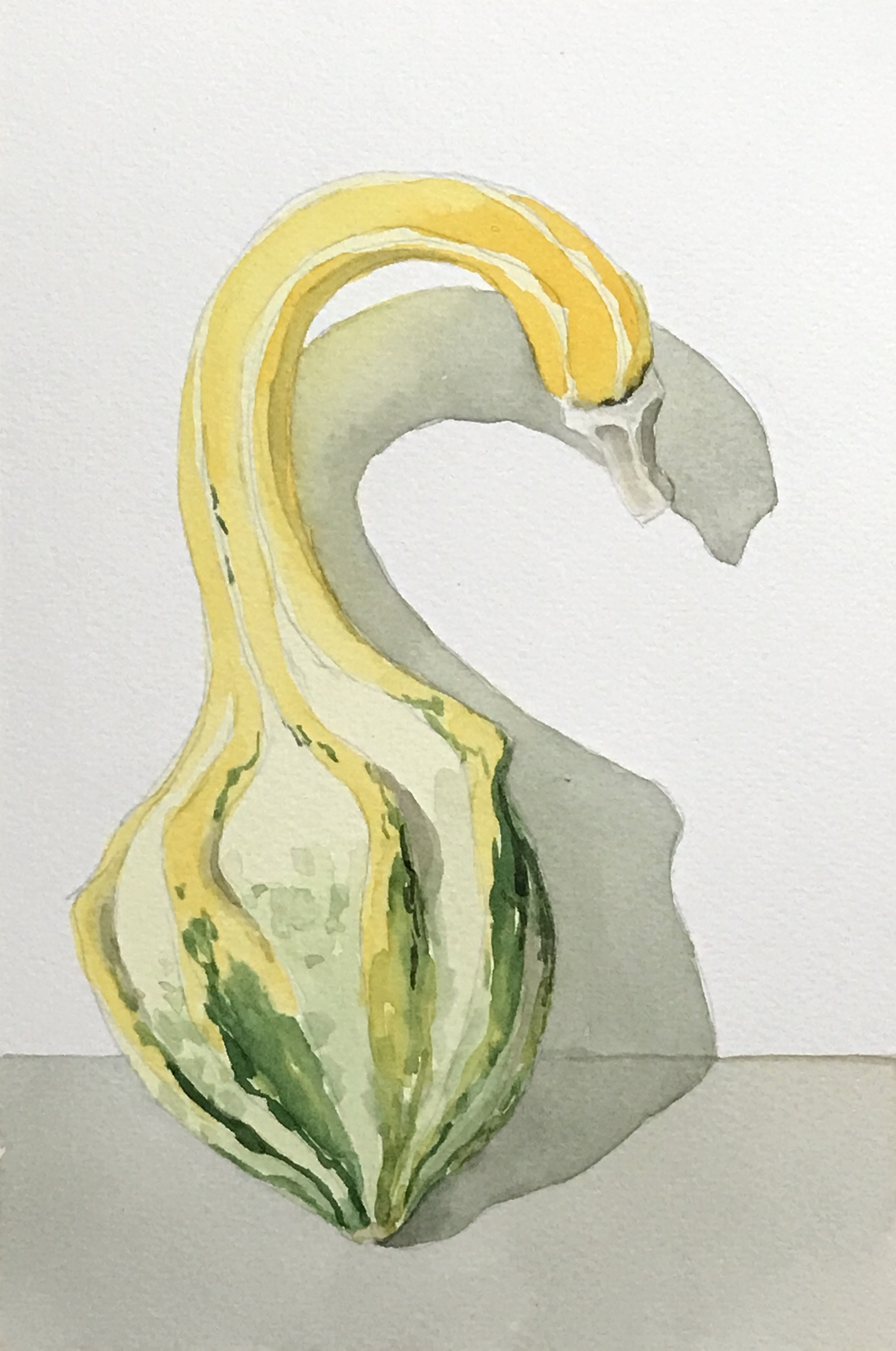 Aquarell (Lea Joos): Kuerbis