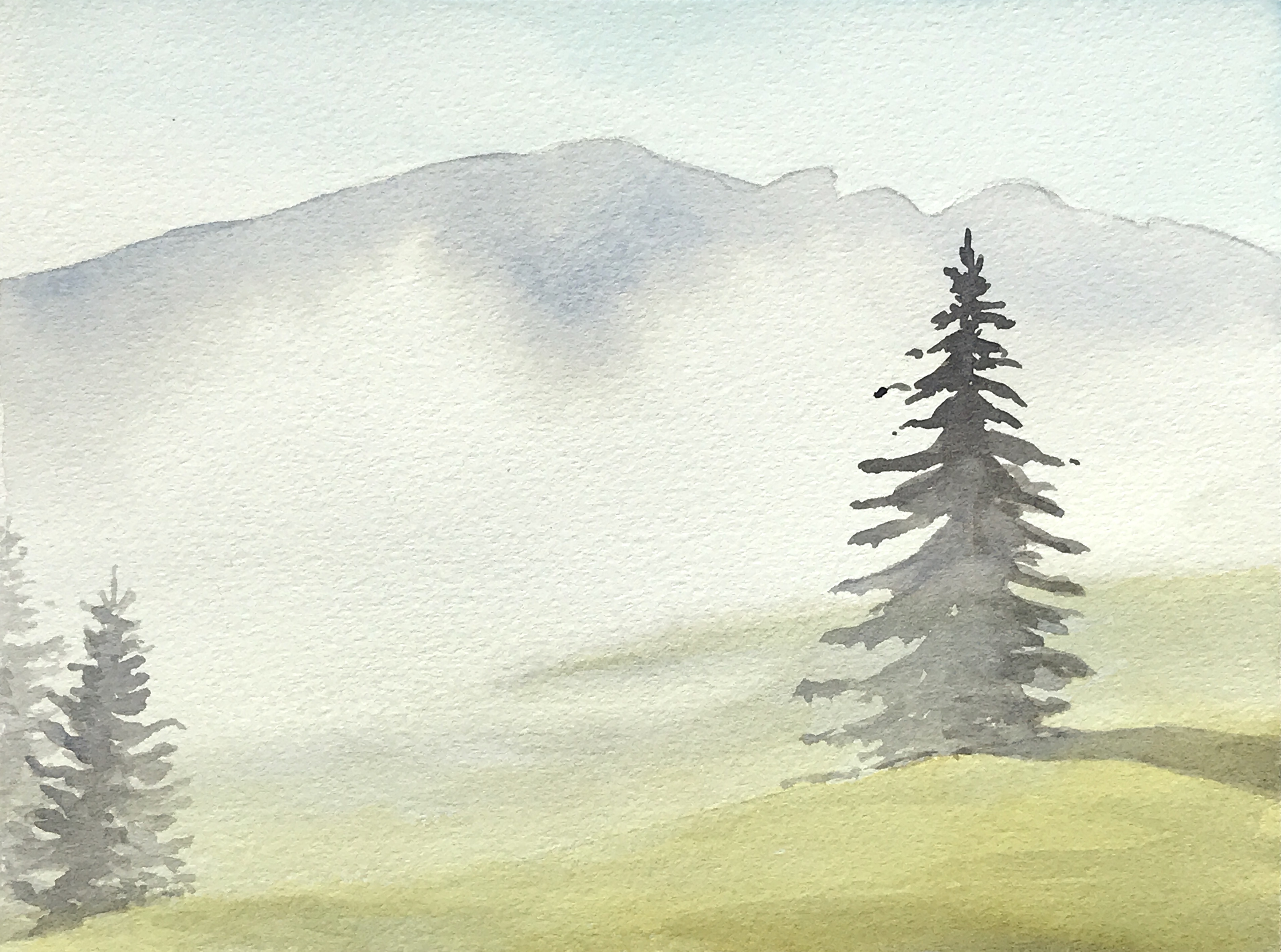 Aquarell (Lea Joos): Tannen im Nebel