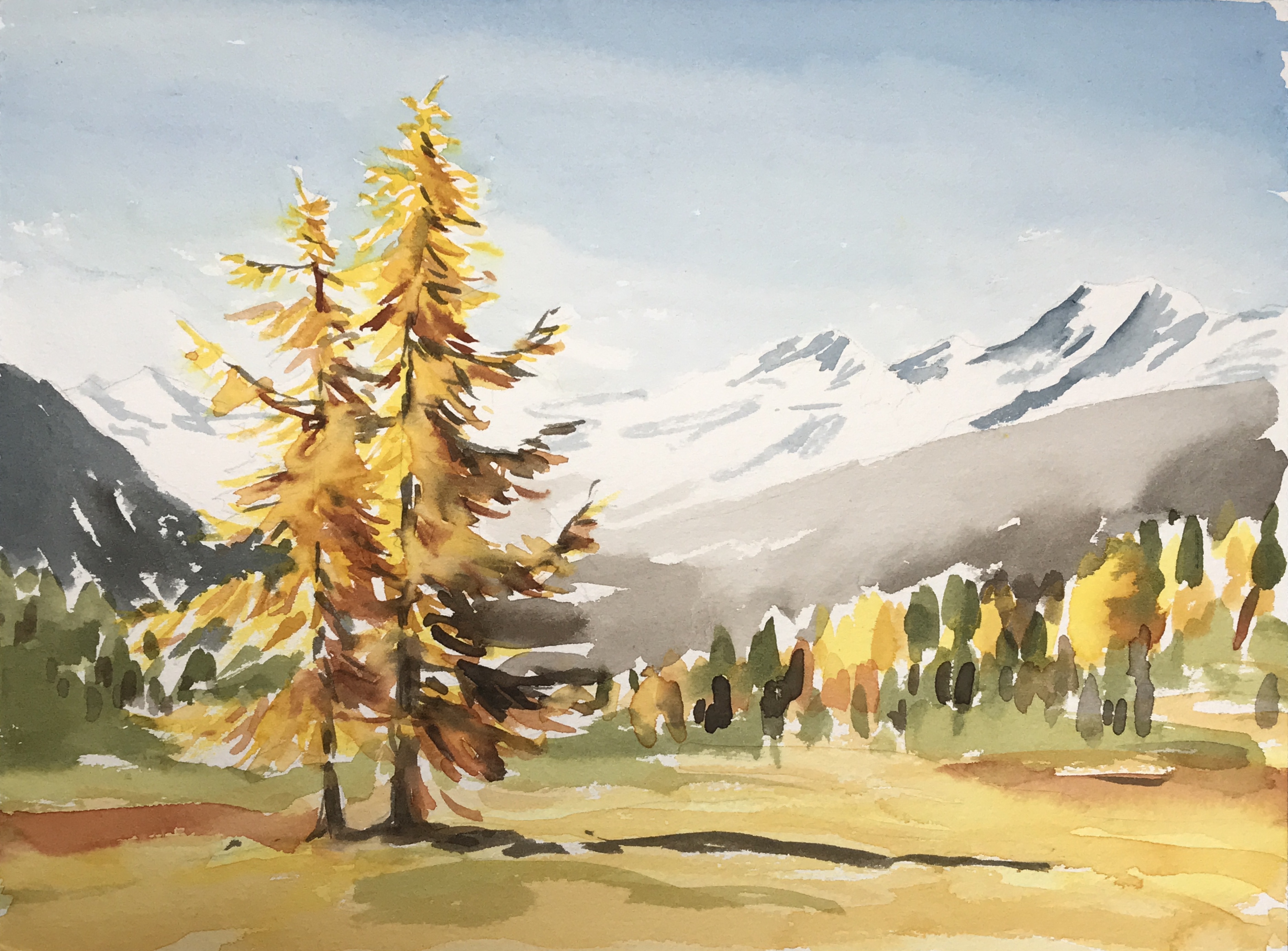 Aquarell (Lea Joos): Herbst, Lärche