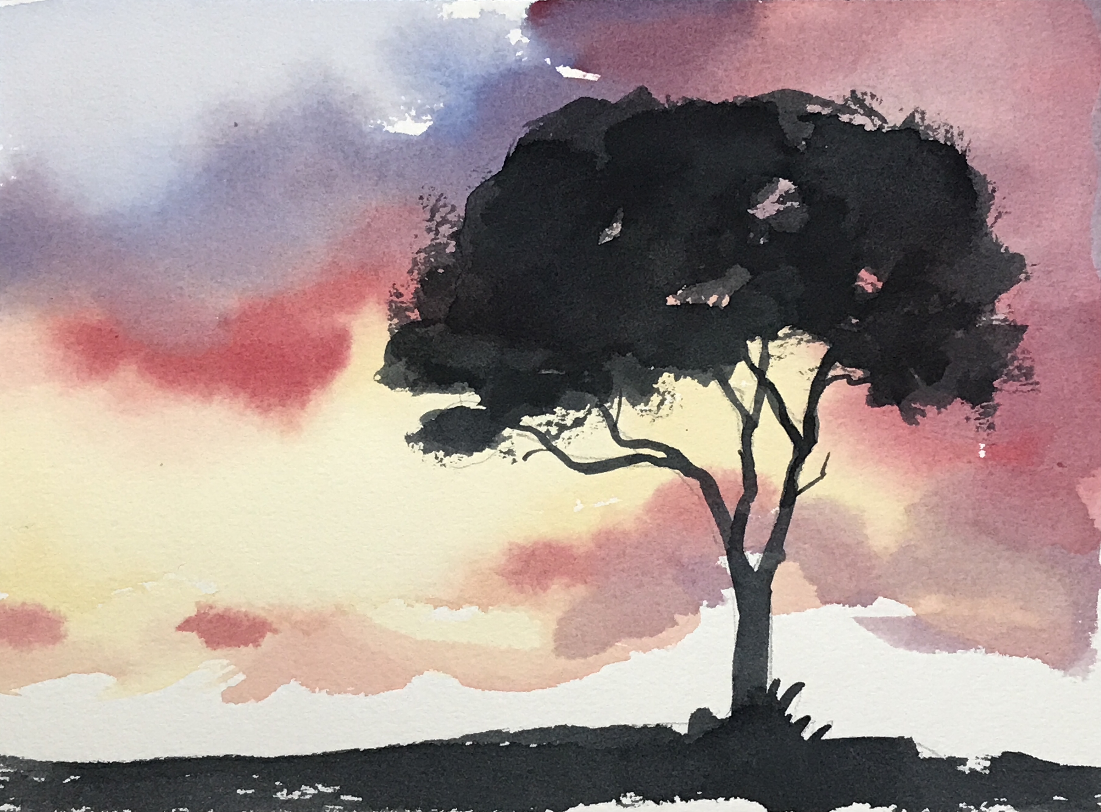 Aquarell (Lea Joos): Pinie, Abendstimmung