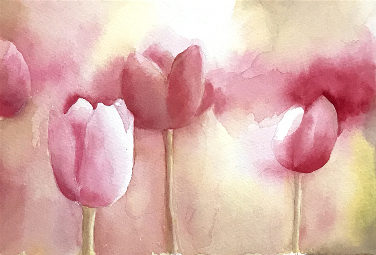 Aquarell (Lea Joos): Tulpen